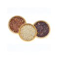 Organic tricolor quinoa grain for sale